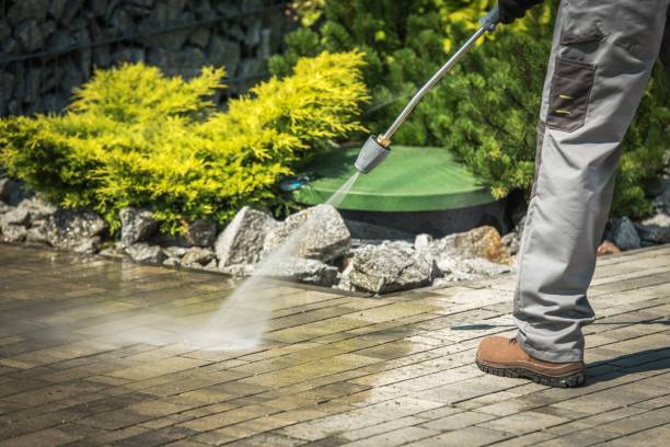 Best Warehouse Cleaning  in Holly Hill, FL
